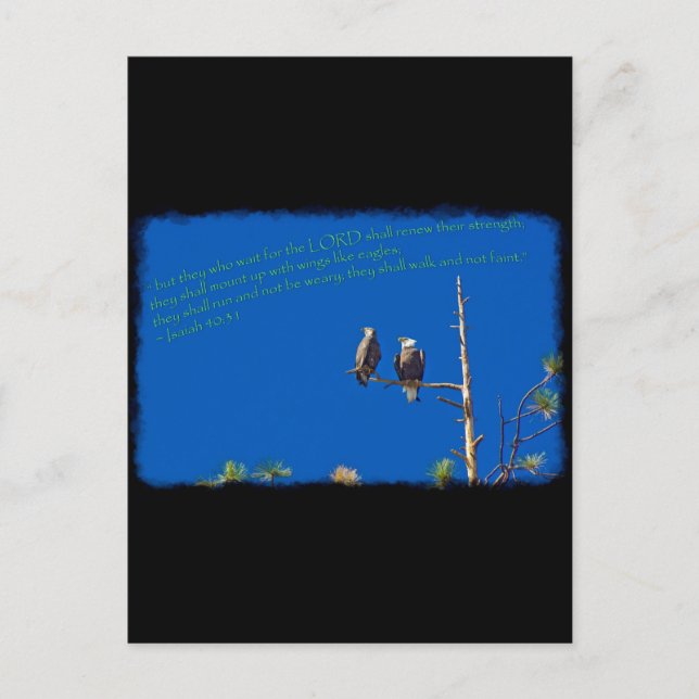 Isaiah 40:31 on black postcard (Front)