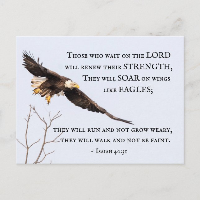Isaiah 40:31 Those who wait on the Lord, Bible Postcard (Front)