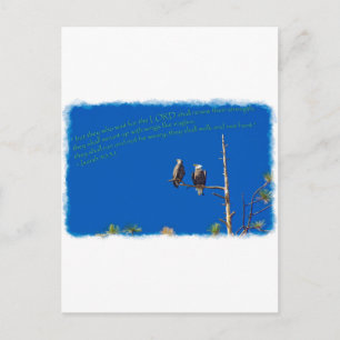 Isaiah 40:31 White Edge Postcard
