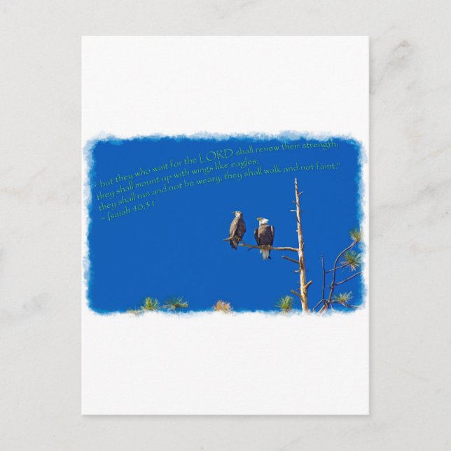 Isaiah 40:31 White Edge Postcard (Front)