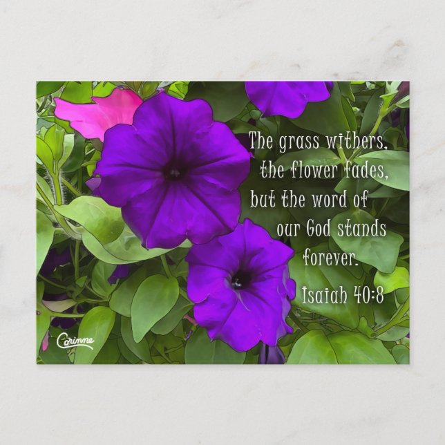 Isaiah 40:8 - Postcard (Front)