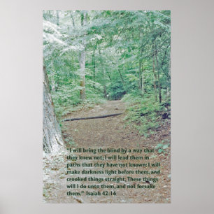 Isaiah 42:16 Wilderness path Poster