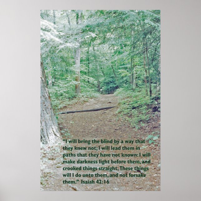 Isaiah 42:16 Wilderness path Poster (Front)