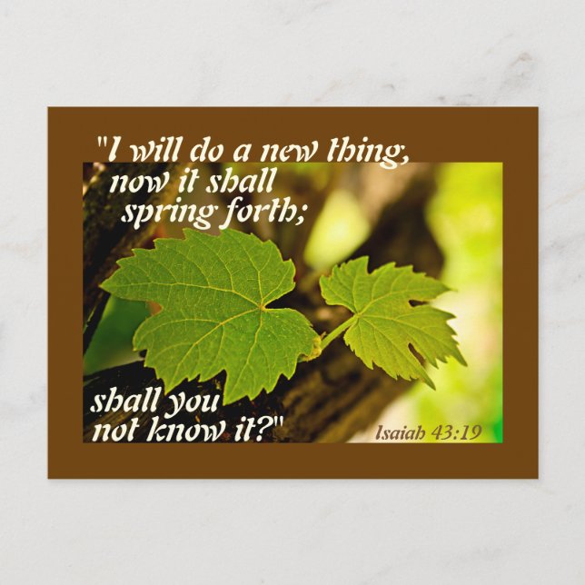 Isaiah 43:19 Bible Verse I will do a new thing Postcard (Front)