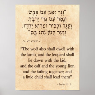 Isaiah's Wolf and Lamb Prophecy Hebrew - English Poster