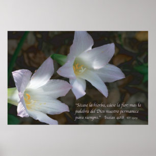 Isaias 40:8 con Lirios Poster