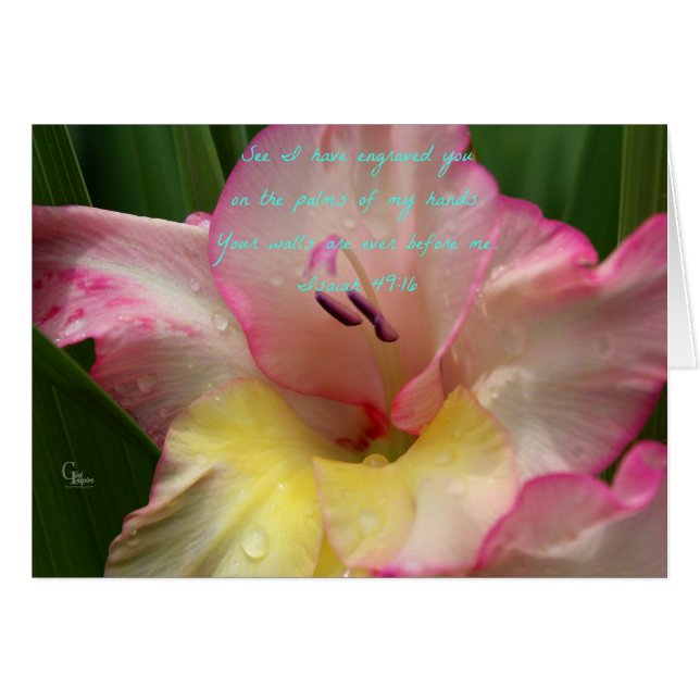 Isaïe 49:16 Carte Gladiolus Pink Raindrop (Devant horizontal)