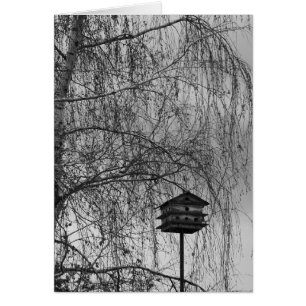 ISEE : MAISON