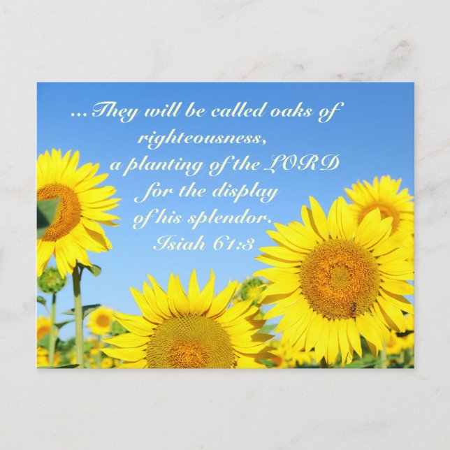Isiah 61:3 Bible Verse Postcard (Front)