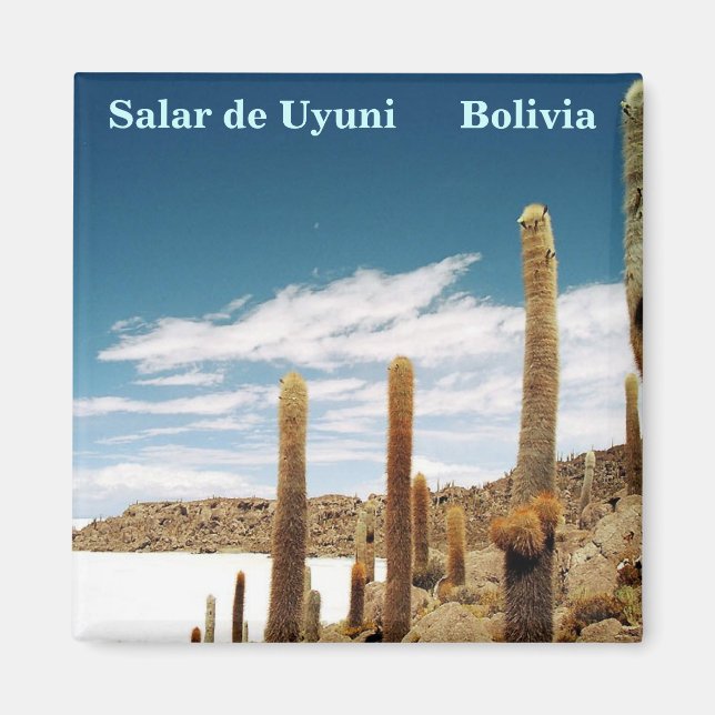 Isla del Pescado, Salar de Uyuni, Bolivia Magnet (Front)