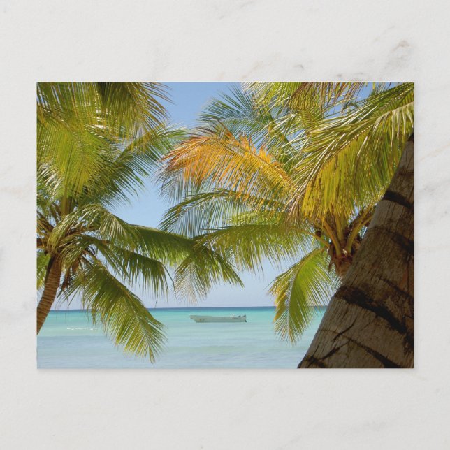 Isla Saona (île) République Dominicaine Carte post (Devant)