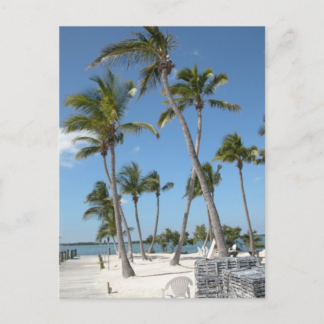 Islamorada Florida Beach Postcard (Front)