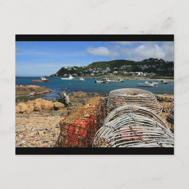 Island Bay, Wellington Postcard (Front)
