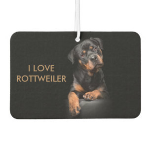 Island Breeze Landscape Rectangle Air Rottweiler Air Freshener