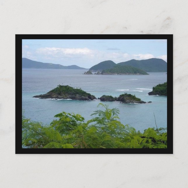 Island Group Postcard (Front)