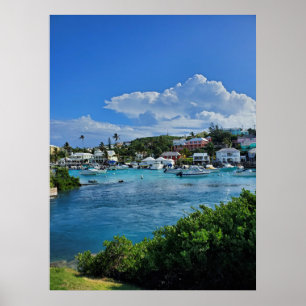 Island Life Poster
