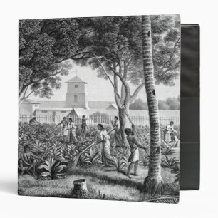 Island of Guam: Natives at Work in the Garden of t Binder