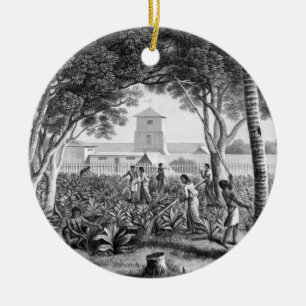 Island of Guam: Natives at Work in the Garden of t Ceramic Ornament