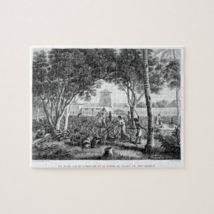 Island of Guam: Natives at Work in the Garden of t Jigsaw Puzzle