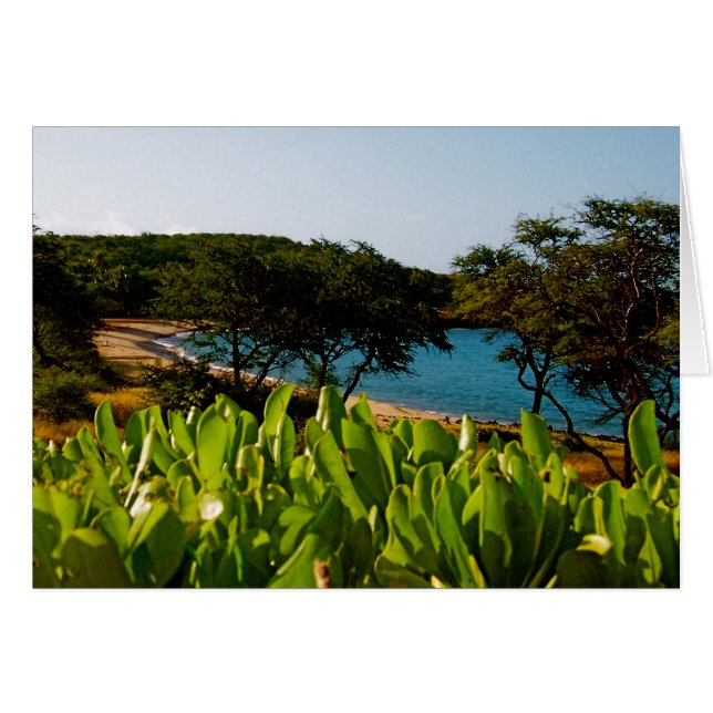 Island of Lanai in  Hawaii (Front Horizontal)