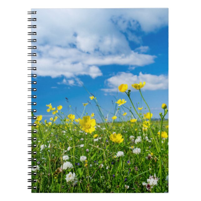 island of South Uist | Scotland Notebook (Front)