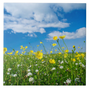 island of South Uist   Scotland Tile