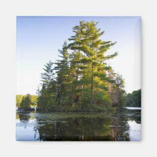 Island on Lake Long Pond Magnet