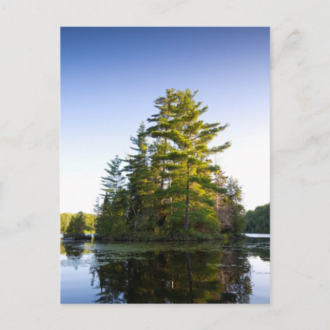 Island on Lake Long Pond Postcard (Front)