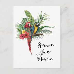 Island Paradise Birds Tropical Save The Date Announcement Postcard
