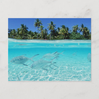 Island Paradise Postcard