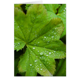 Islande. Région du Sud. Gullfoss