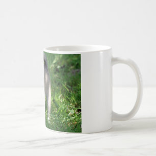 Islandhund Coffee Mug