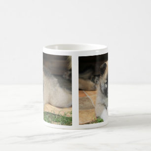 Islandhund Coffee Mug