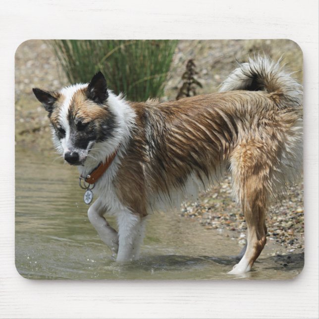 Islandhund Mouse Pad (Front)