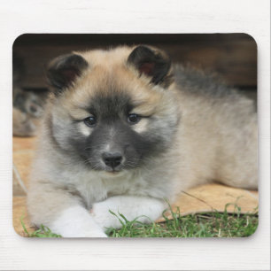 Islandhund Mouse Pad