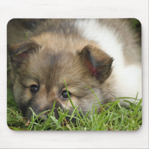 Islandhundewelpe Mouse Pad