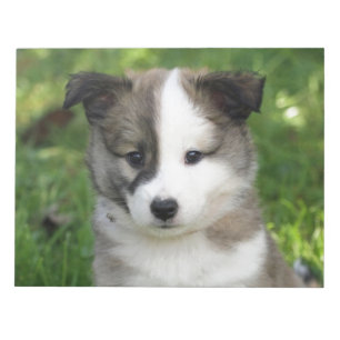 Islandhundwelpe Splitface Notepad
