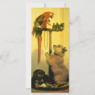 Islay, Tilco, a Macaw and Love Birds by Landseer