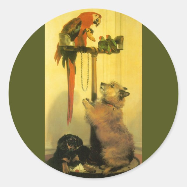 Islay, Tilco, a Macaw and Love Birds by Landseer Classic Round Sticker (Front)
