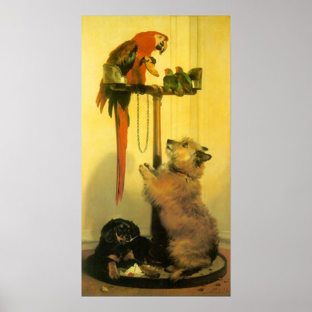 Islay, Tilco, a Macaw and Love Birds by Landseer Poster (Front)