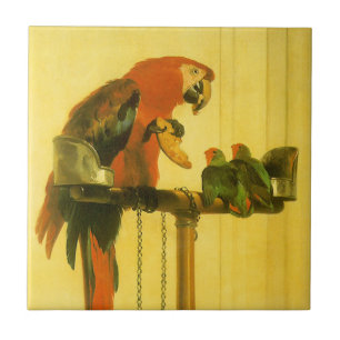 Islay, Tilco, a Macaw and Love Birds by Landseer Tile