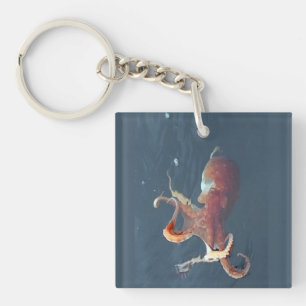 Isle of Skye Octopus Art Marine Customisable  Keychain