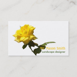 Isolate Yellow rose - template Business Card