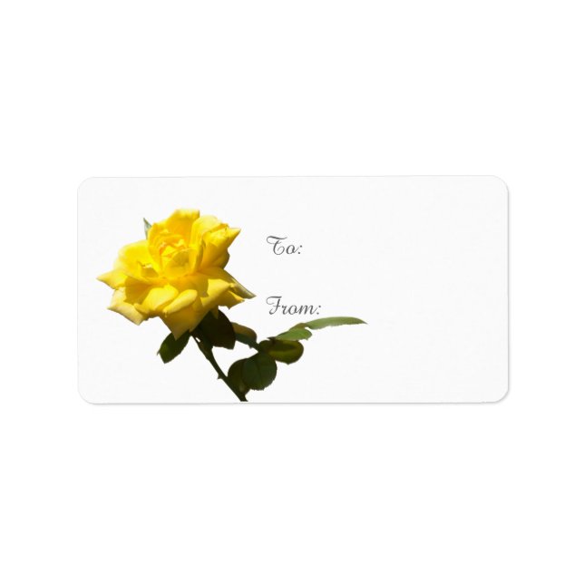 Isolate Yellow rose - template Label (Front)
