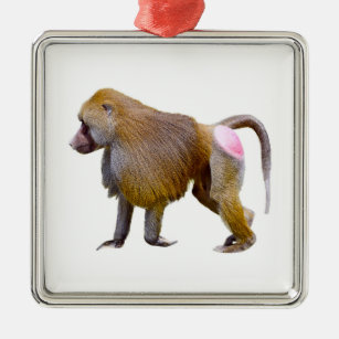 Isolated baboon walking postcard square sticker metal ornament