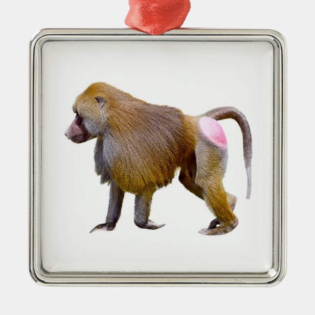 Isolated baboon walking postcard square sticker metal ornament (Front)