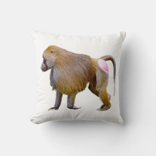 Isolated baboon walking postcard square sticker throw pillow