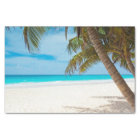 Isolated Beach and Palm Trees 