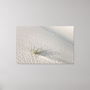 Isolated  canvas print