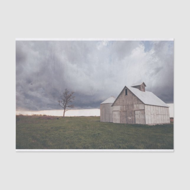 Isolated Cream Barn with a Lonely Bare Tree Tissue Paper (Front)